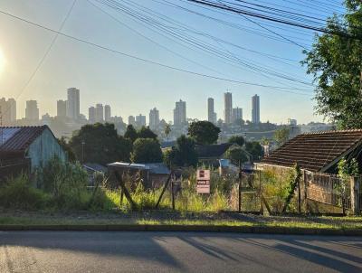 imagem-miniatura